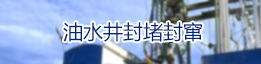 帶載伸縮履帶蜘蛛吊展示